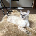 Foto 02.07.24, 15 52 09