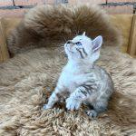 Foto 09.05.24, 11 09 01