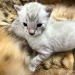 Foto 14.04.24, 19 34 25