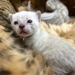 Foto 14.04.24, 19 37 06