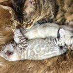 Foto 21.04.24, 15 30 13