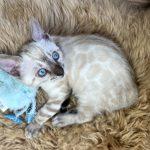 Foto 23.05.24, 19 35 33