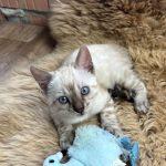 Foto 23.05.24, 19 36 29