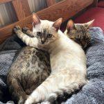 Foto 29.06.24, 11 03 26