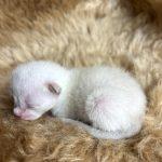 Foto 30.03.24, 20 20 01