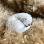 Foto 30.03.24, 20 26 04