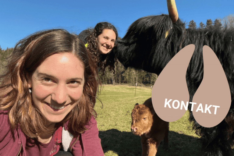 Kontakt vom Hof Burgstall