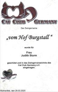 Zwingereintragung "Vom Hof Burgstall!