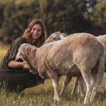 Die Hofbesitzerin streichelt drei Schafe