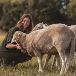 Die Hofbesitzerin streichelt drei Schafe