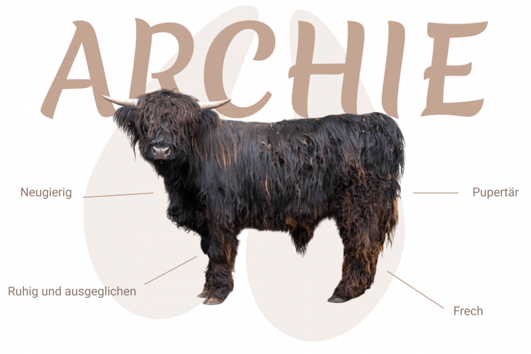 Geschlecht: männlich Farbe: schwarz | ED/e N/N Cropear: N/HMX