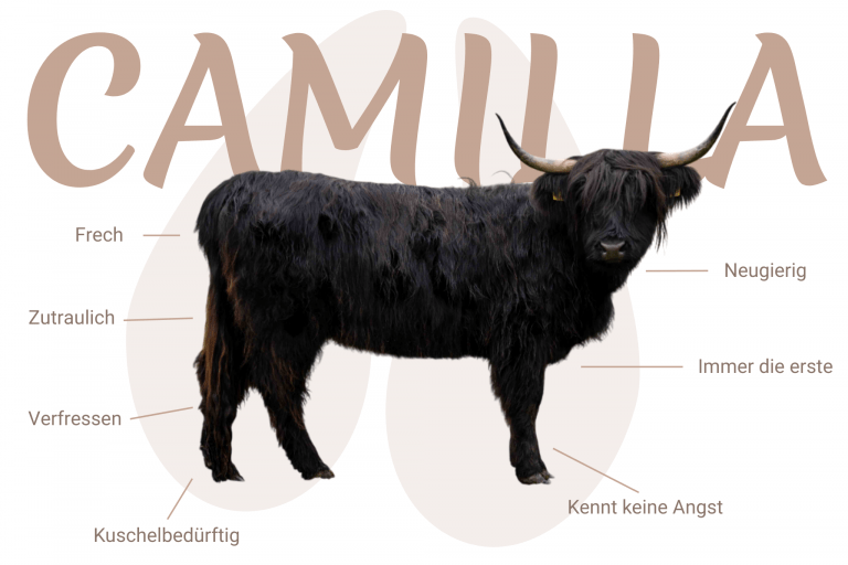 Geschlecht: weiblich Farbe: schwarz | ED/e N/N Cropear: N/N