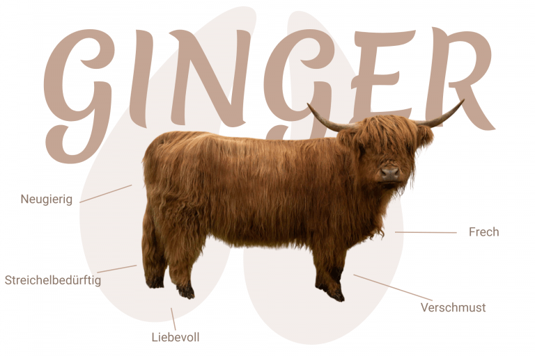 Geschlecht: weiblich Farbe: yellow | E+/e Dh/N Cropear: N/HMX