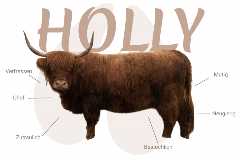 Geschlecht: weiblich - Farbe: rot | E+/e N/N - Cropear: N/N