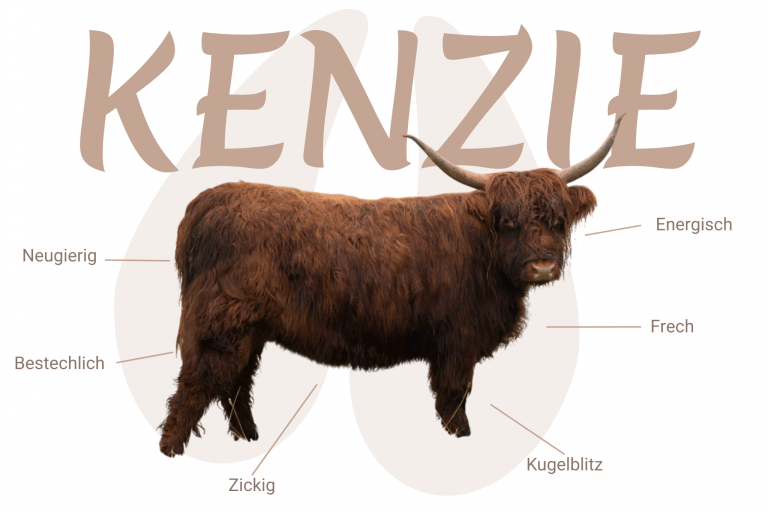 Geschlecht: weiblich Farbe: brindle | E+/E+ N/N Cropear: N/N