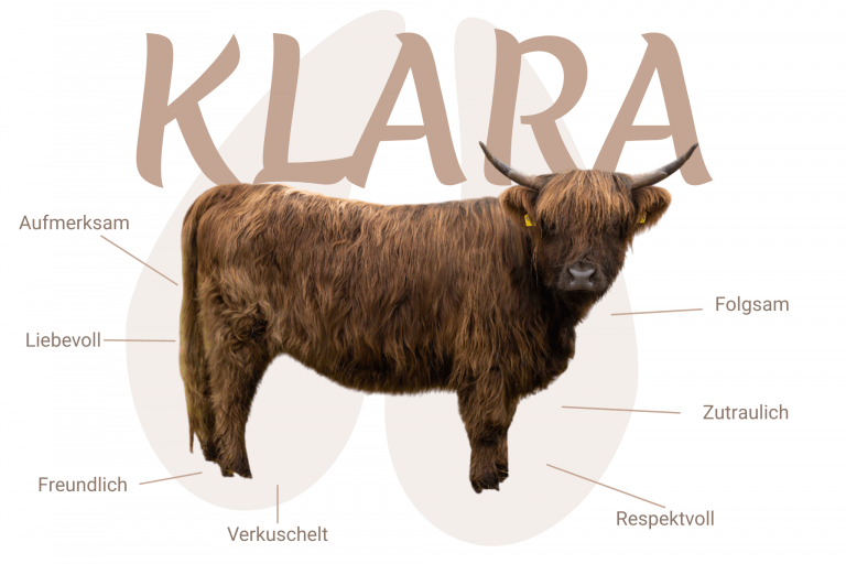 Geschlecht: weiblich