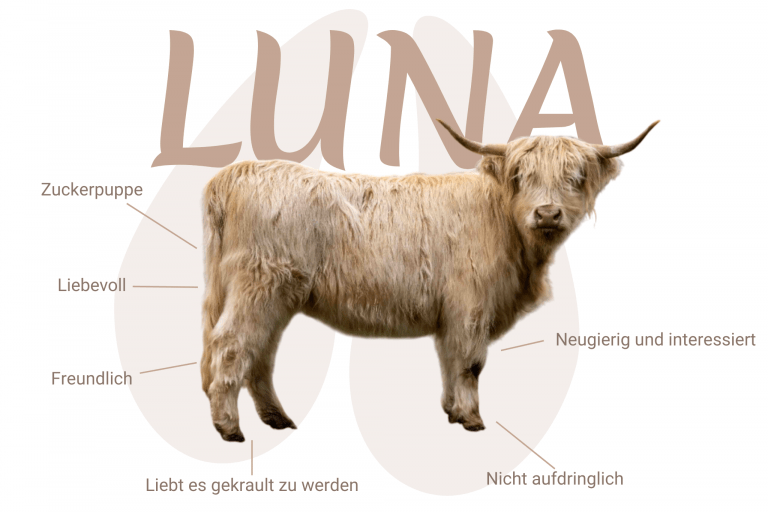 Geschlecht: weiblich Farbe: weiß | E+/e Dh/Dh Cropear: N/N