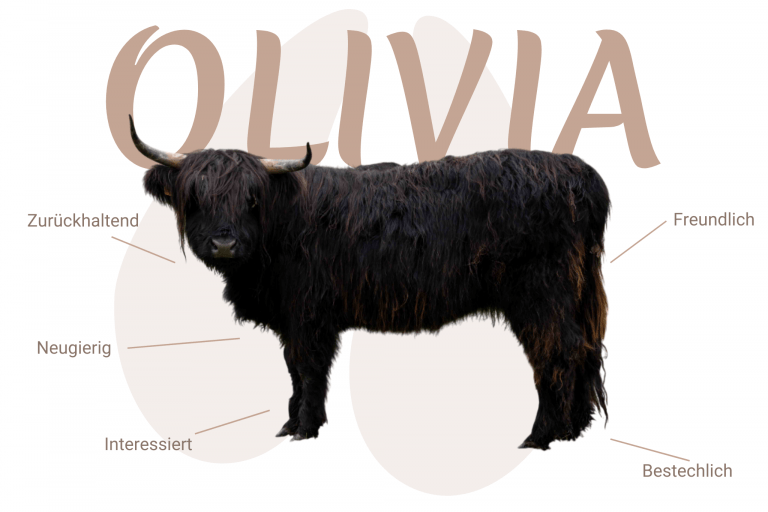 Geschlecht: weiblich Farbe: schwarz | ED/E+ N/N Cropear: N/N