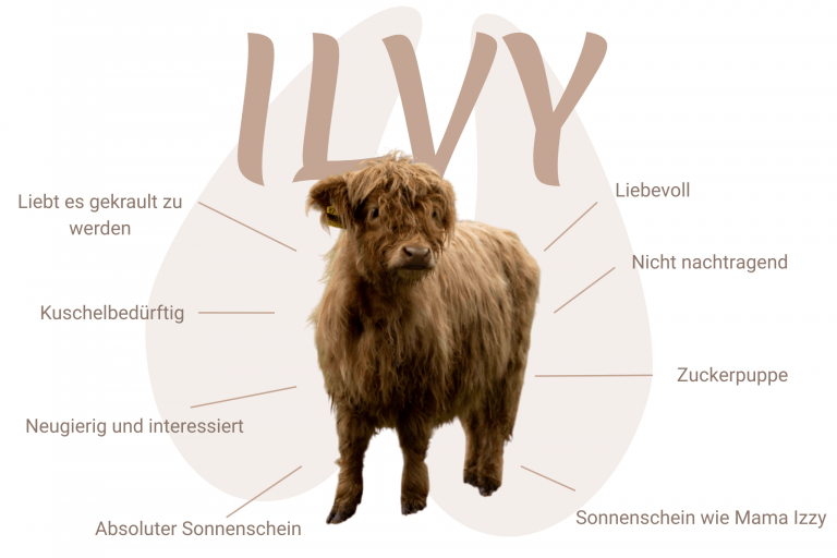 Geschlecht: weiblich Farbe: yellow | E+/e Dh/N Cropear: N/N