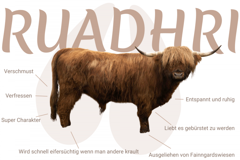 Geschlecht: männlich Farbe: rot | e/e N/N Cropear: N/HMX