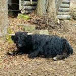 IMG_0920