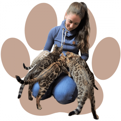 Bengalkatzen Züchterin Judith Sturm